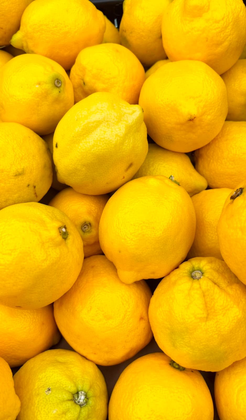 Limón Amarillo