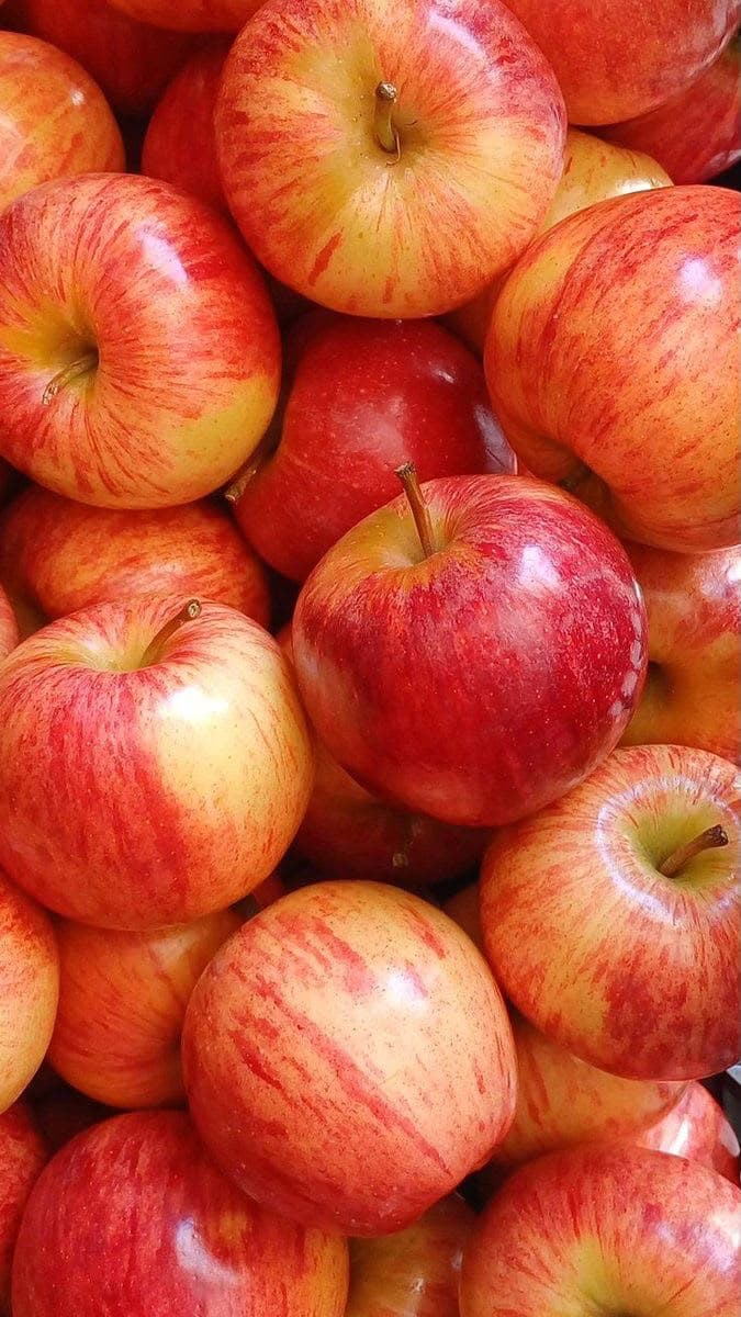 Manzana Roja