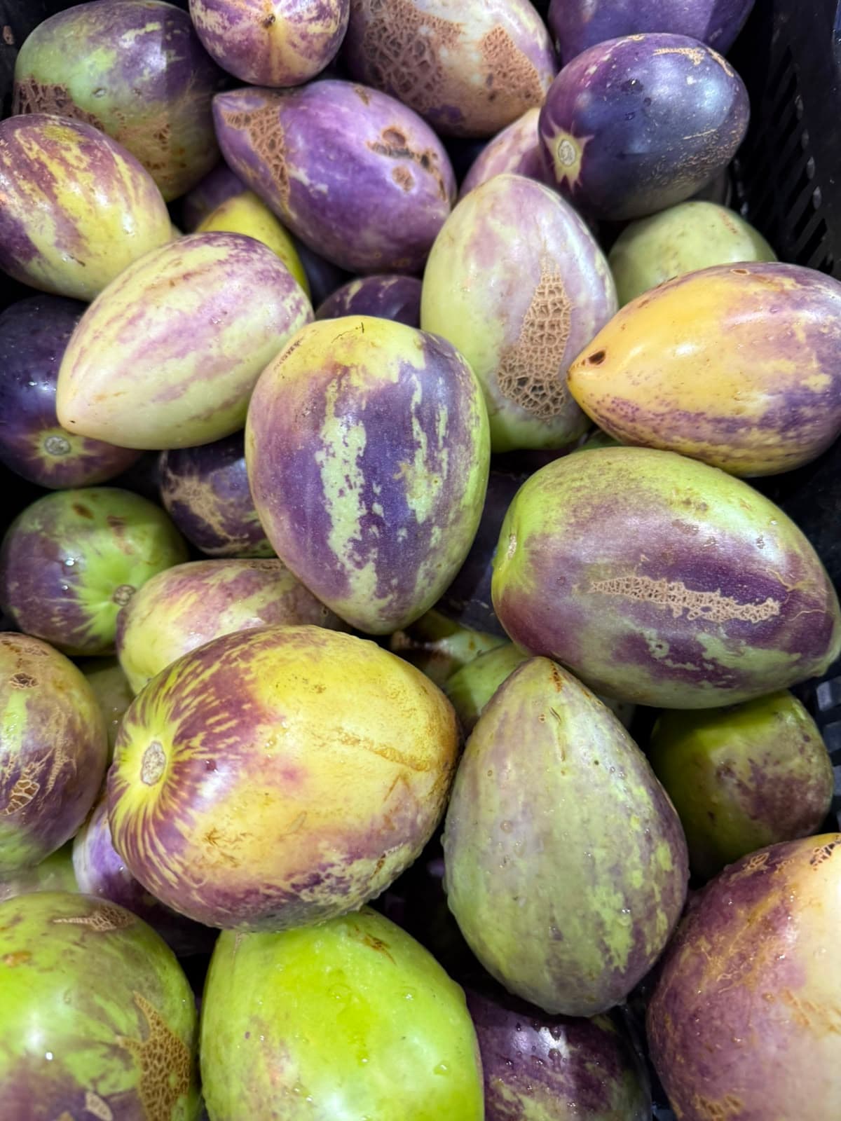 Pepino Dulce