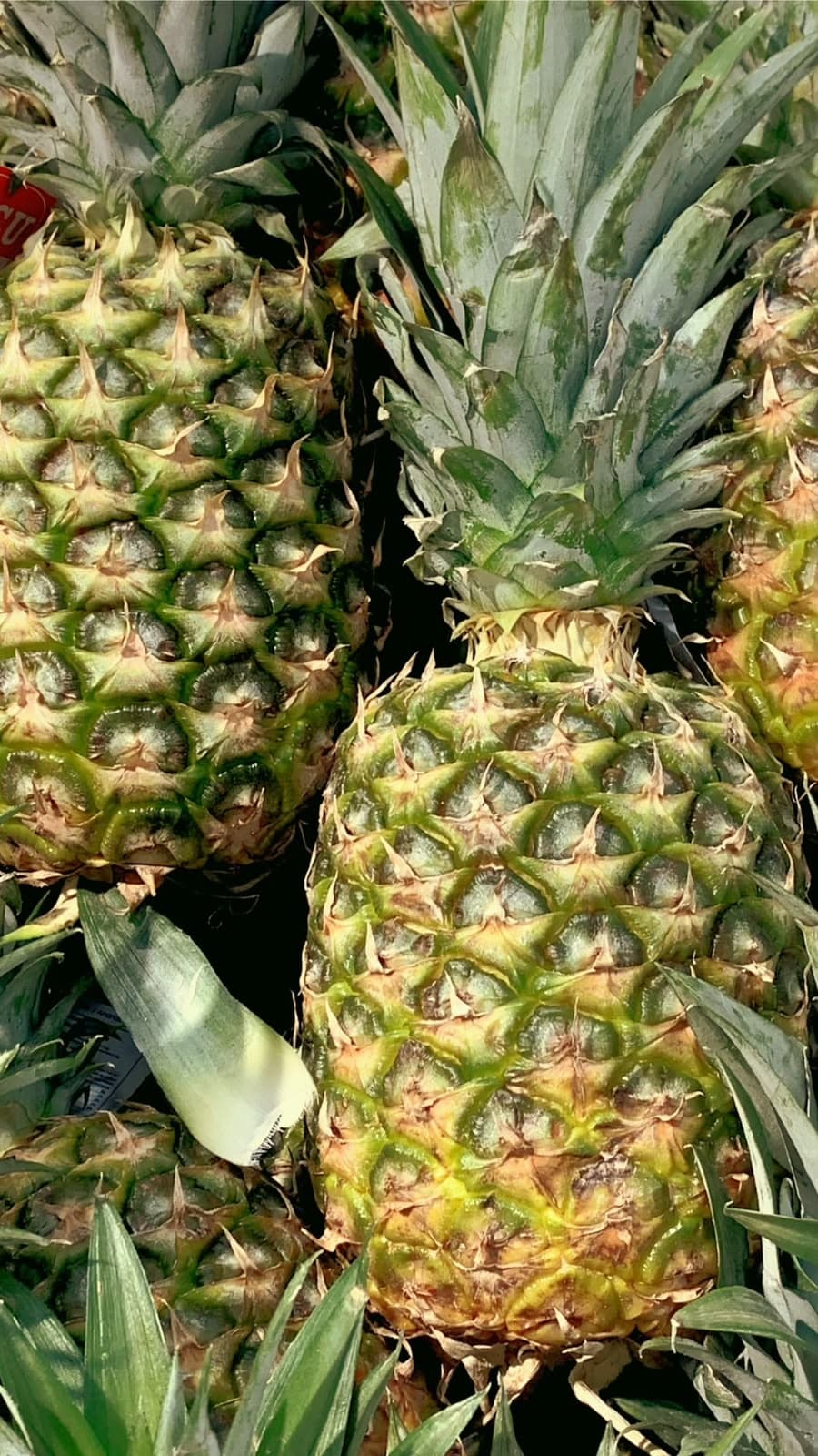 Piña