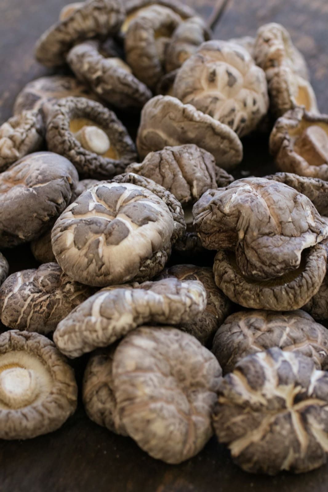 Shiitake Seco