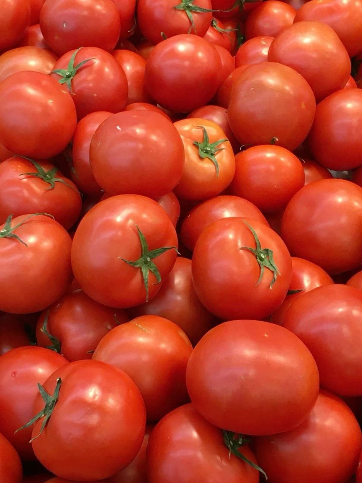 Tomate