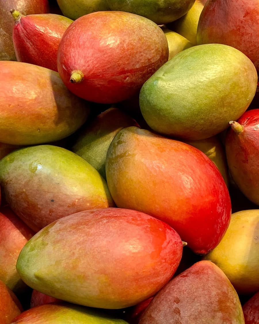 Mango dulce